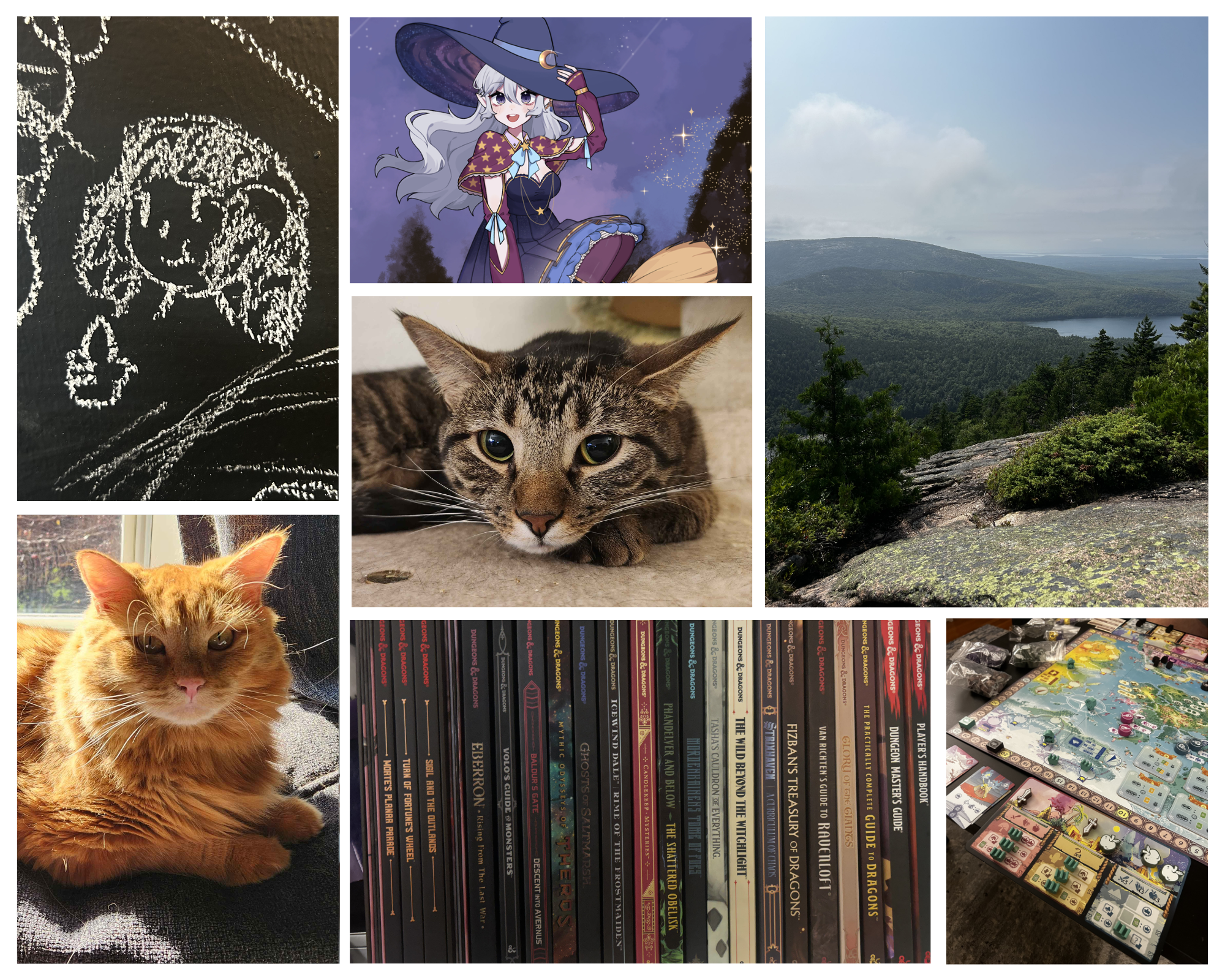 Collage of activities